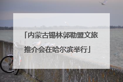 内蒙古锡林郭勒盟文旅推介会在哈尔滨举行