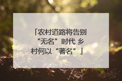 农村道路将告别“无名”时代 乡村何以“著名”