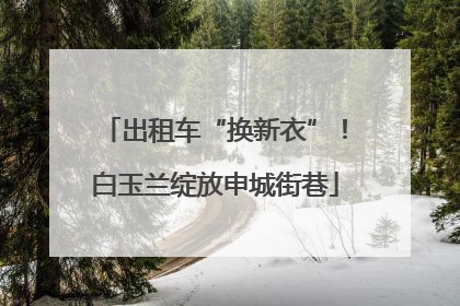出租车“换新衣”！白玉兰绽放申城街巷