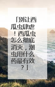 别让西瓜虫肆虐！西瓜虫怎么彻底消灭，潮虫用什么药最有效？
