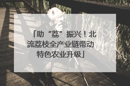 助“荔”振兴！北流荔枝全产业链带动特色农业升级