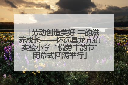 劳动创造美好 丰韵滋养成长——怀远县龙亢镇实验小学“悦劳丰韵节”闭幕式圆满举行