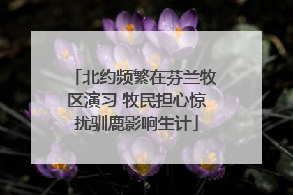 北约频繁在芬兰牧区演习 牧民担心惊扰驯鹿影响生计