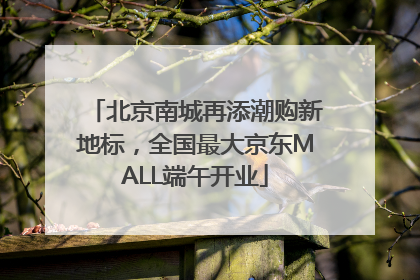 北京南城再添潮购新地标，全国最大京东MALL端午开业