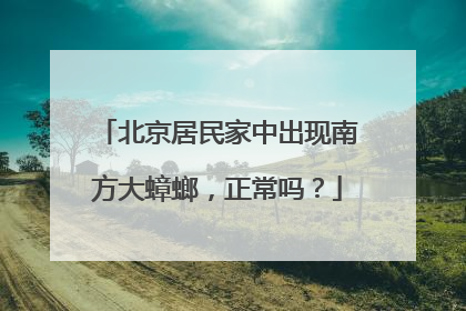 北京居民家中出现南方大蟑螂，正常吗？