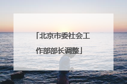 北京市委社会工作部部长调整