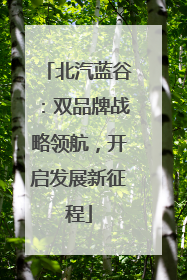 北汽蓝谷：双品牌战略领航，开启发展新征程
