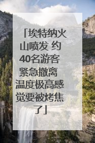 埃特纳火山喷发 约40名游客紧急撤离 温度极高感觉要被烤焦了