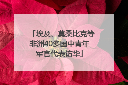 埃及、莫桑比克等非洲40多国中青年军官代表访华