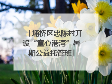 埇桥区忠陈村开设“童心港湾”暑期公益托管班