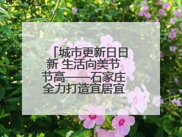 城市更新日日新 生活向美节节高——石家庄全力打造宜居宜业美丽家园