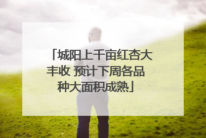 城阳上千亩红杏大丰收 预计下周各品种大面积成熟