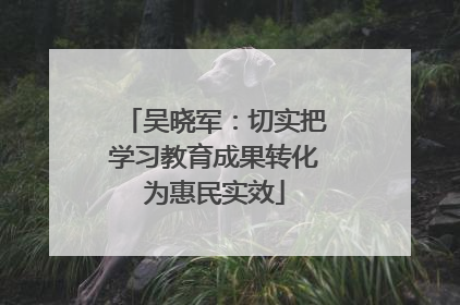 吴晓军：切实把学习教育成果转化为惠民实效