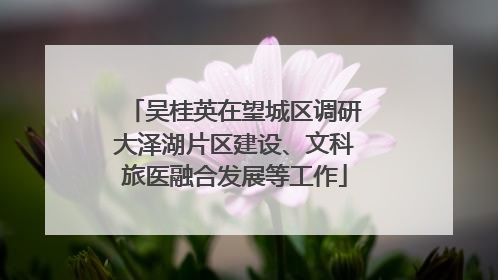 吴桂英在望城区调研大泽湖片区建设、文科旅医融合发展等工作