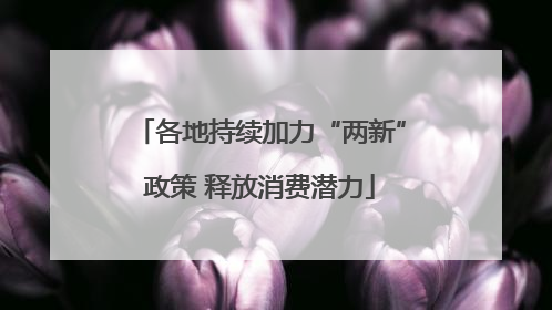 各地持续加力“两新”政策 释放消费潜力