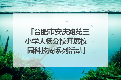合肥市安庆路第三小学大杨分校开展校园科技周系列活动
