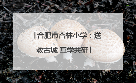 合肥市杏林小学：送教古城 互学共研