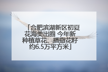 合肥滨湖新区初夏花海美出圈 今年新种植草花、播撒花籽约6.5万平方米