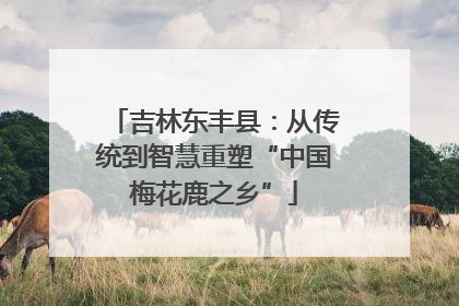 吉林东丰县：从传统到智慧重塑“中国梅花鹿之乡”