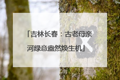 吉林长春：古老母亲河绿意盎然焕生机