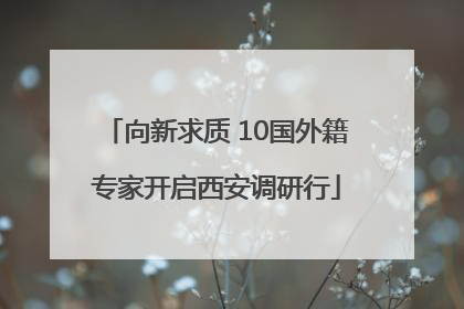 向新求质 10国外籍专家开启西安调研行