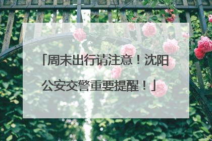 周末出行请注意！沈阳公安交警重要提醒！