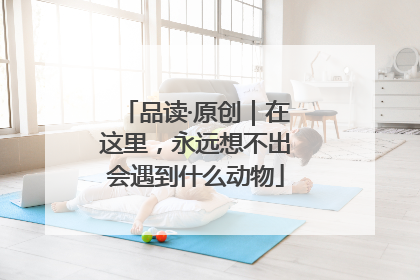 品读·原创｜在这里，永远想不出会遇到什么动物