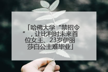 哈佛大学“禁招令”，让比利时未来首位女王、23岁伊丽莎白公主难毕业
