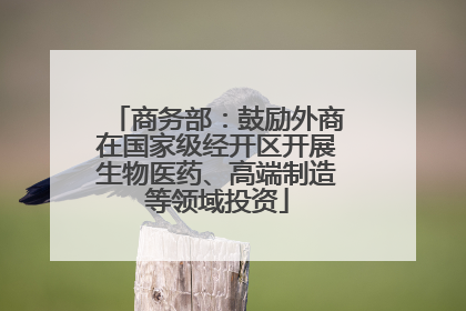 商务部：鼓励外商在国家级经开区开展生物医药、高端制造等领域投资