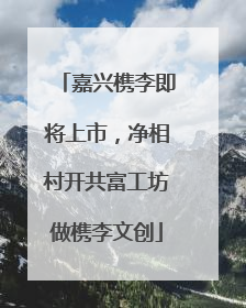 嘉兴槜李即将上市，净相村开共富工坊做槜李文创