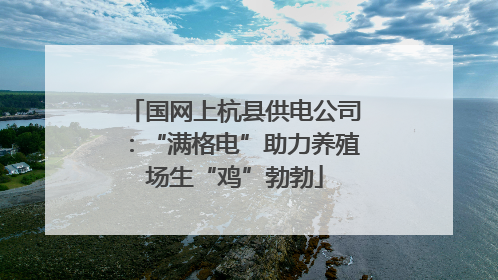 国网上杭县供电公司：“满格电”助力养殖场生“鸡”勃勃