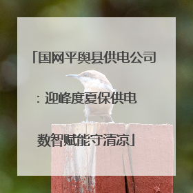 国网平舆县供电公司：迎峰度夏保供电  数智赋能守清凉