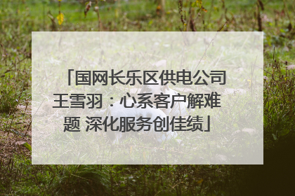 国网长乐区供电公司王雪羽：心系客户解难题 深化服务创佳绩