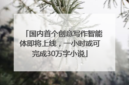 国内首个创意写作智能体即将上线，一小时或可完成30万字小说