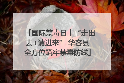 国际禁毒日丨“走出去+请进来” 华容县全方位筑牢禁毒防线