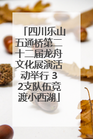 四川乐山五通桥第二十二届龙舟文化展演活动举行 32支队伍竞渡小西湖