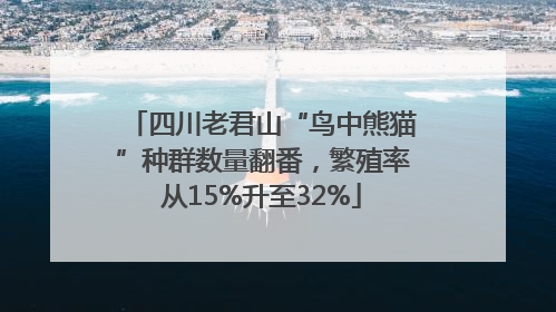 四川老君山“鸟中熊猫”种群数量翻番，繁殖率从15%升至32%