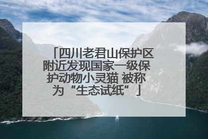 四川老君山保护区附近发现国家一级保护动物小灵猫 被称为“生态试纸”