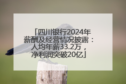 四川银行2024年薪酬及经营情况披露：人均年薪33.2万，净利润突破20亿