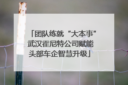 团队练就“大本事” 武汉霍尼特公司赋能头部车企智慧升级