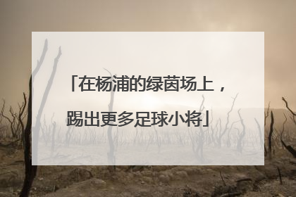 在杨浦的绿茵场上，踢出更多足球小将