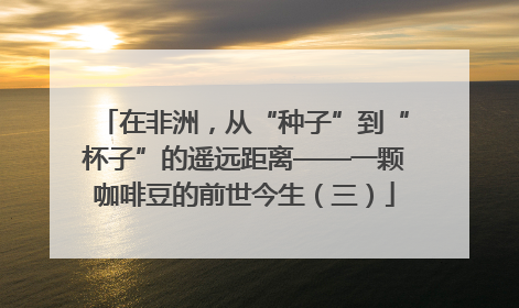 在非洲，从“种子”到“杯子”的遥远距离——一颗咖啡豆的前世今生（三）
