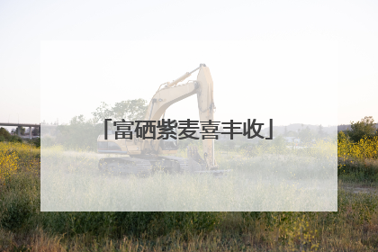 富硒紫麦喜丰收