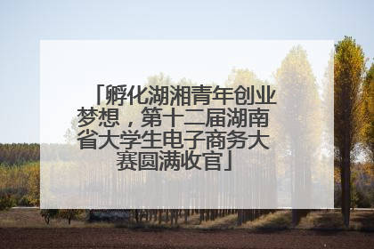 孵化湖湘青年创业梦想，第十二届湖南省大学生电子商务大赛圆满收官