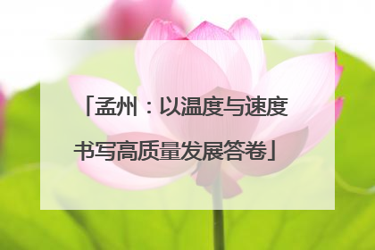 孟州：以温度与速度书写高质量发展答卷