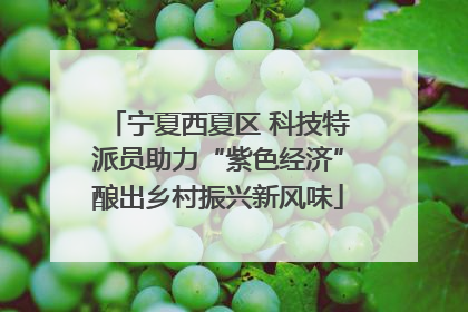 宁夏西夏区 科技特派员助力“紫色经济”酿出乡村振兴新风味