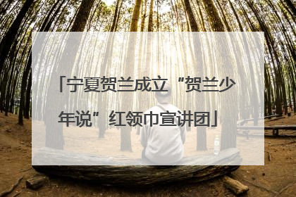 宁夏贺兰成立“贺兰少年说”红领巾宣讲团