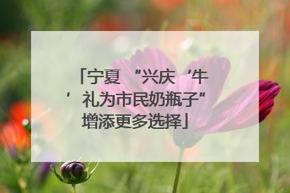 宁夏 “兴庆‘牛’礼为市民奶瓶子”增添更多选择