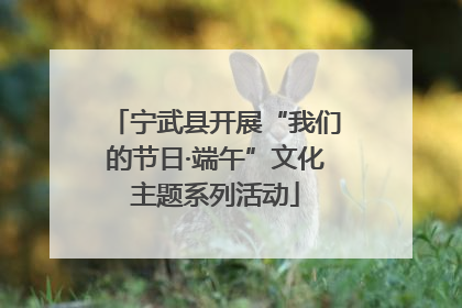 宁武县开展“我们的节日·端午”文化主题系列活动
