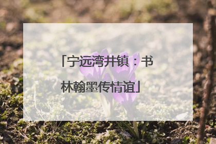 宁远湾井镇：书林翰墨传情谊